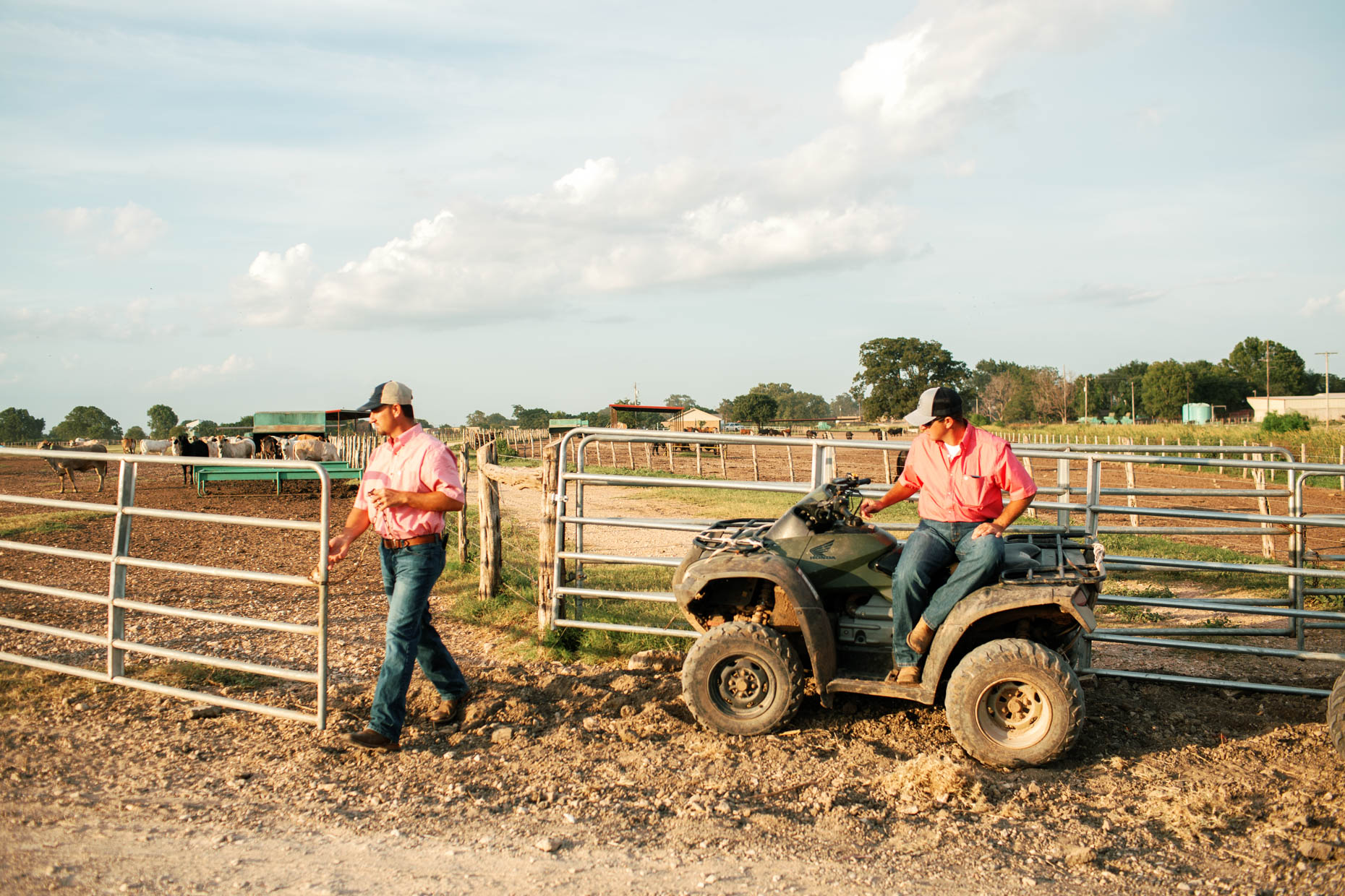 Texas cattlemen actively working in field with an ATV 
