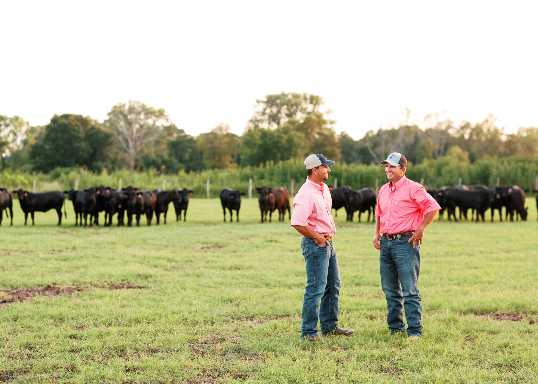 Texas cattlemen standing in field with cows
