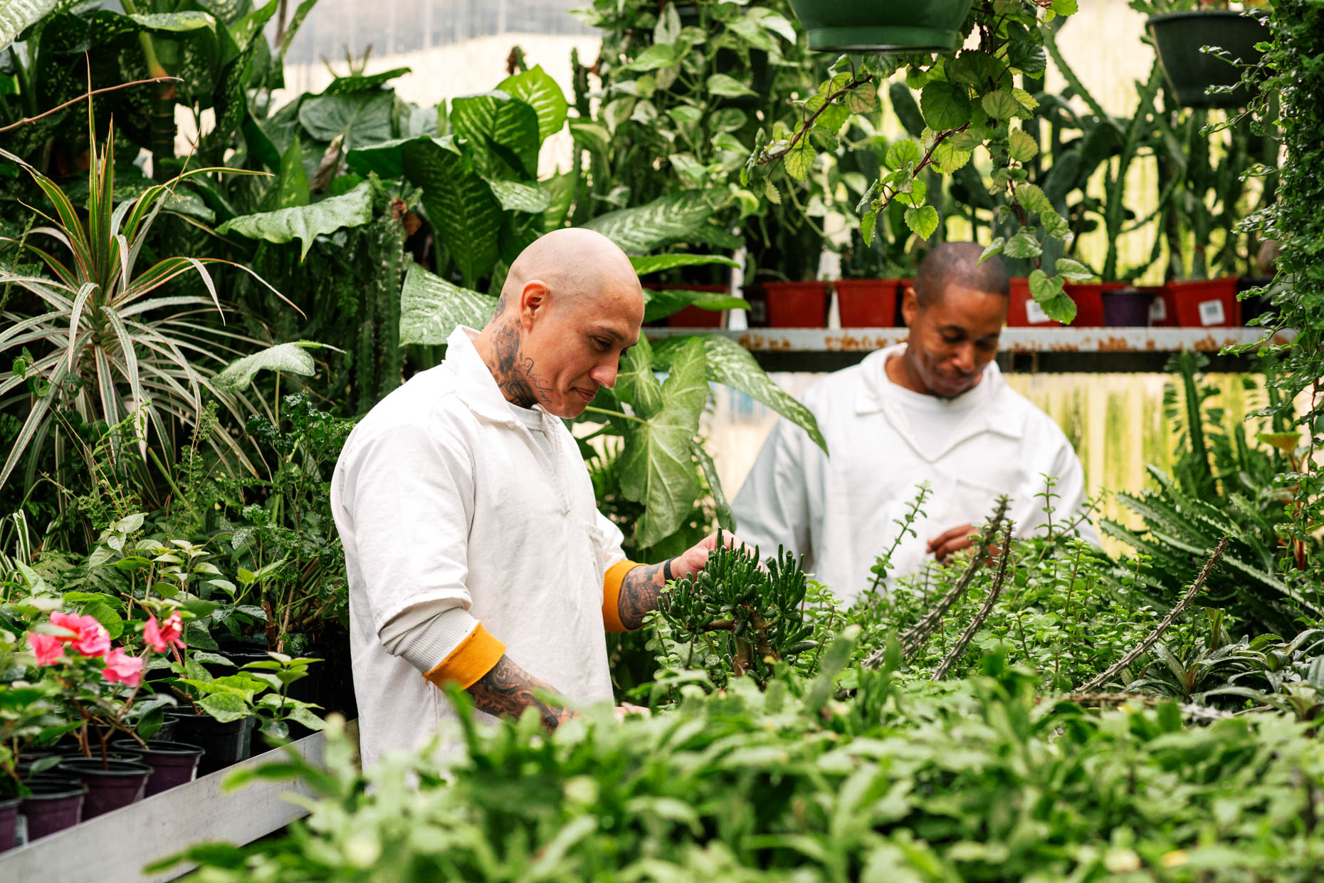 Two Texas prison inmates working in a greenhouse as part of a horticulture class 