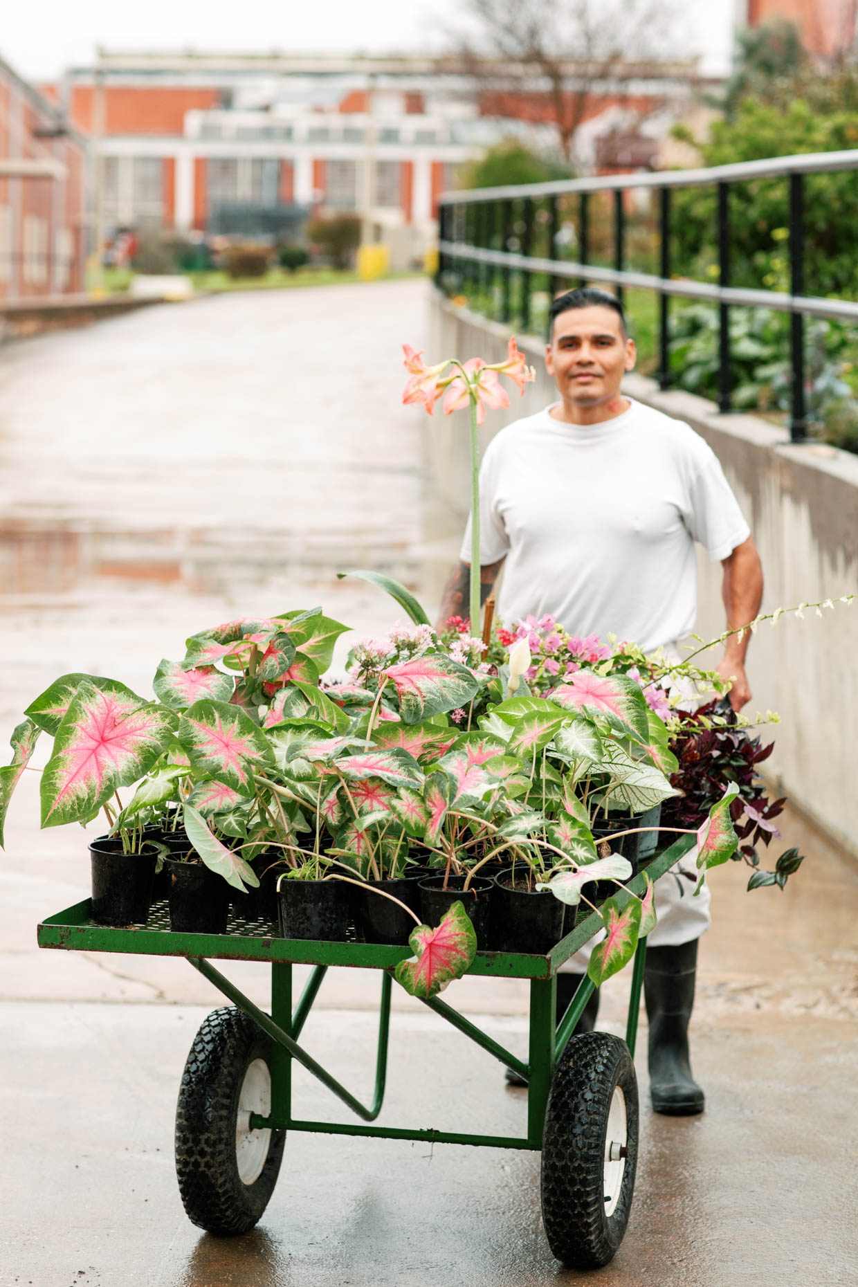 Inmate in Texas prison gardening in horticulture class editorial photography