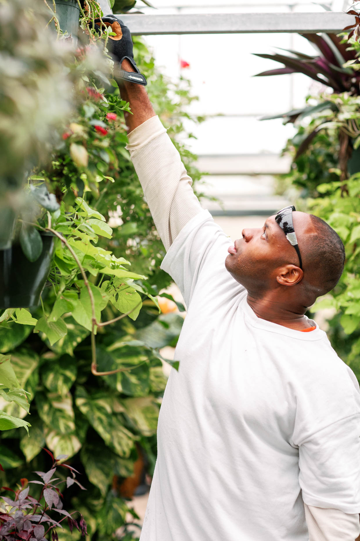 Prisoner taking care of plants in a horticulture class