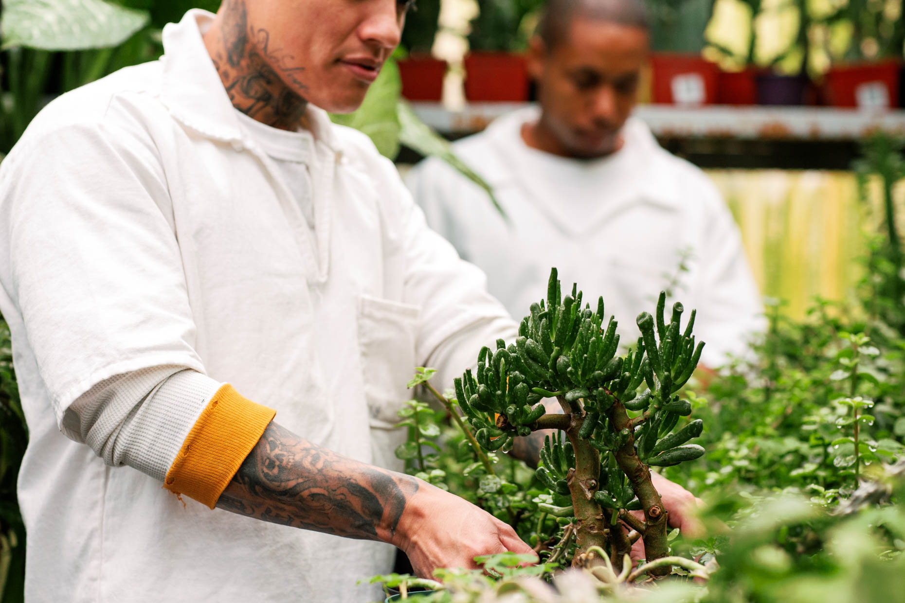 Texas prisoners working with plants