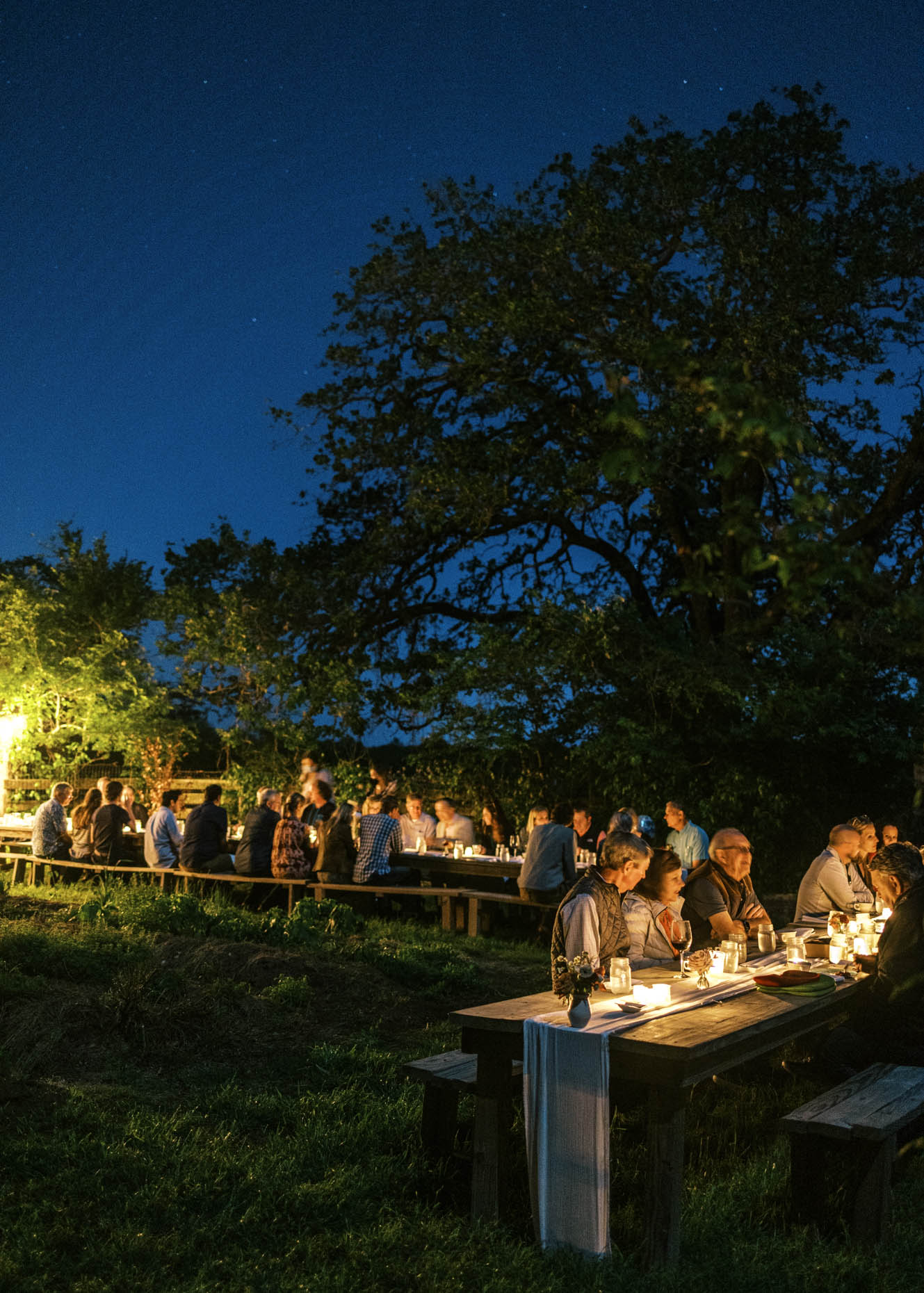 outdoor evening dining experience under the stars in texas