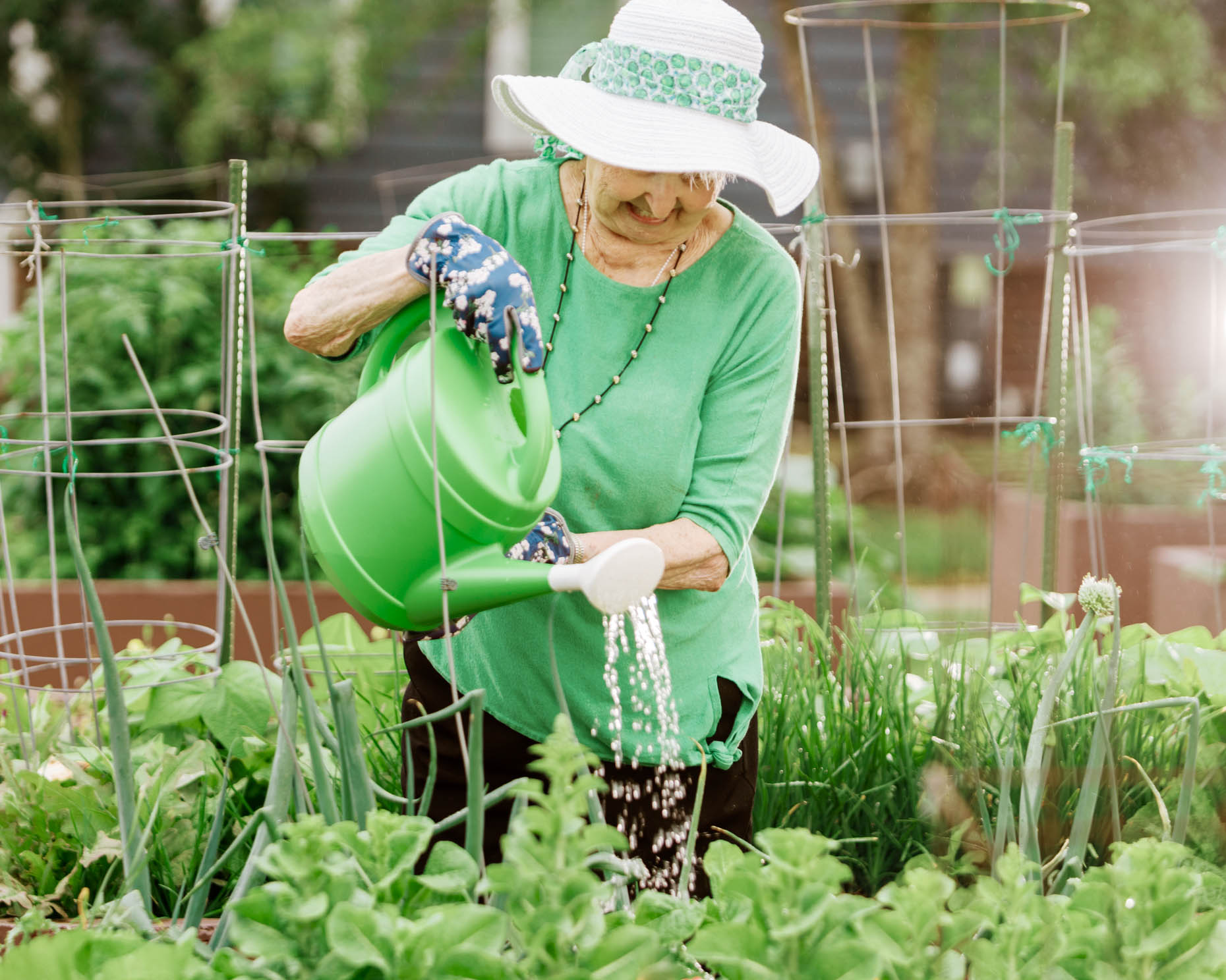 Retirement woman wearing green watering plants in a garden at a senior living retirement community