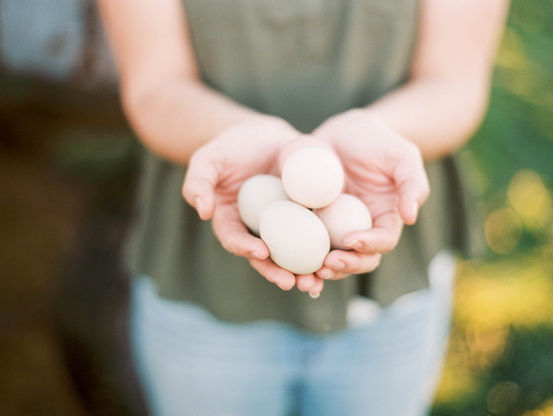 organic farmer holding a handful of eggs