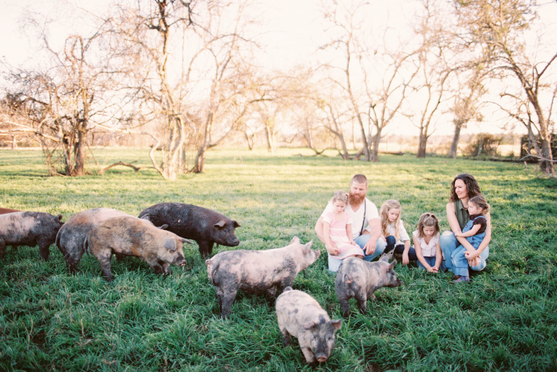 branding photos for a family owned Texas farm sitting with heritage pigs