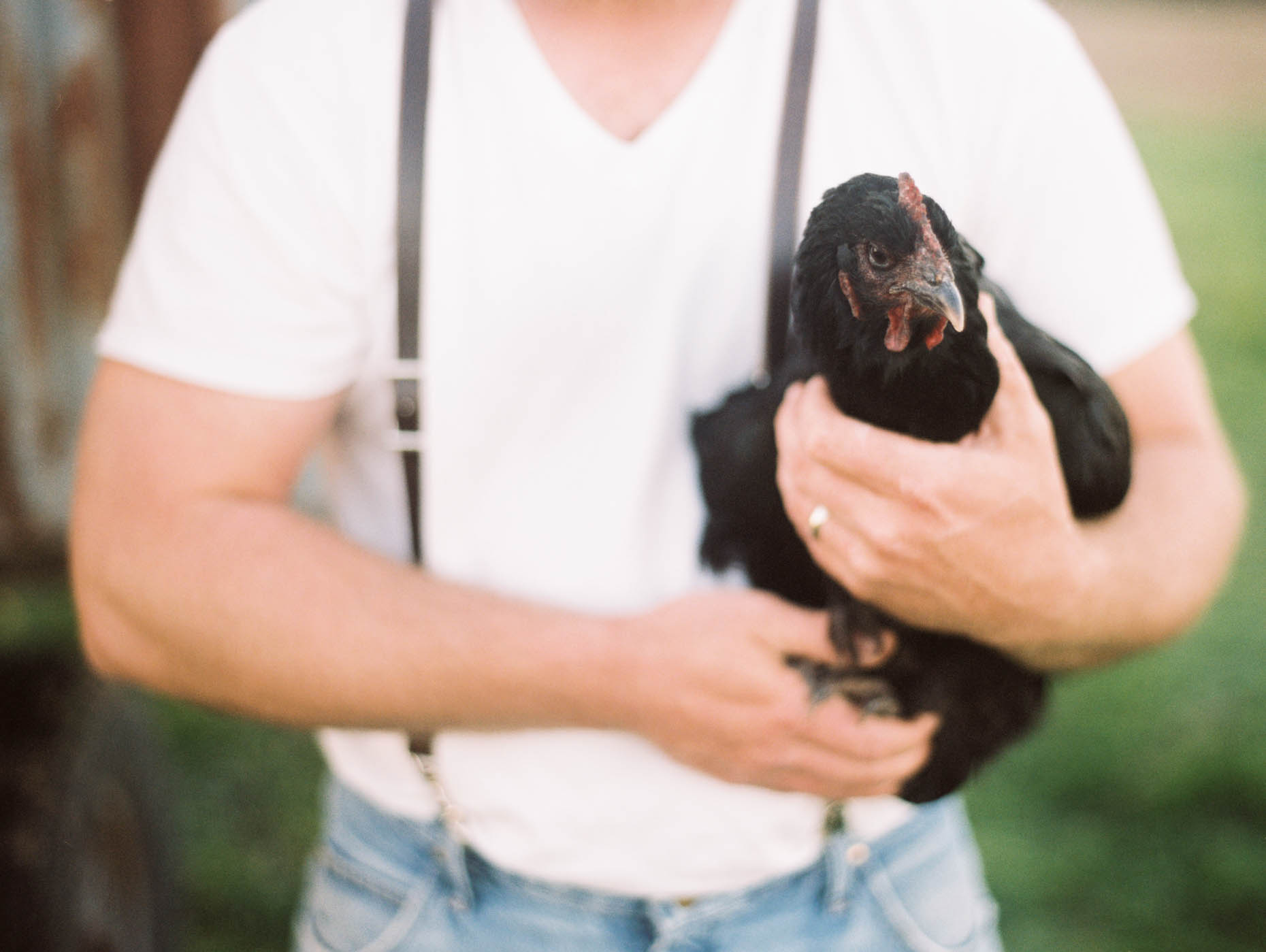 branding photos for a family owned Texas farm farmer holding chicken